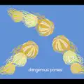 Dangerous Ponies