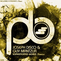 Sophisticated World Remixes - EP - Joseph Disco & Guy Mantzur