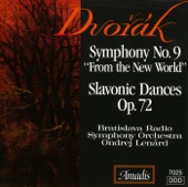 Symphony No. 9 in E minor, Op. 95, B. 178, "From the New World": II. Largo artwork