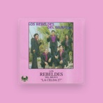 Los Rebeldes del Bravo