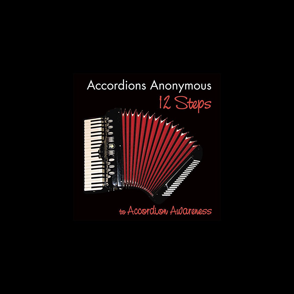 ‎12 Steps to Accordion Awareness Album by Accordions Anonymous