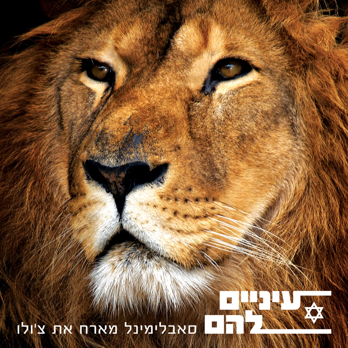 Their Eyes (Eynaim Lahem) - Single