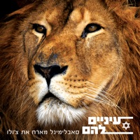 Their Eyes (Eynaim Lahem) - Single - Subliminal