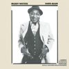 I Can't Be Satisfied - Muddy Waters