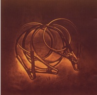 Mother Nature's Spies