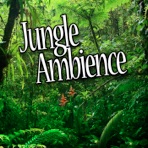 Jungle Ambience (Nature Sounds) - Single
