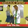 Shaka Pow - Too Experienced (feat. Barrington Levi)