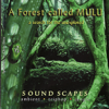 A Search for the Unexplored - A Forest Called Mulu new Single