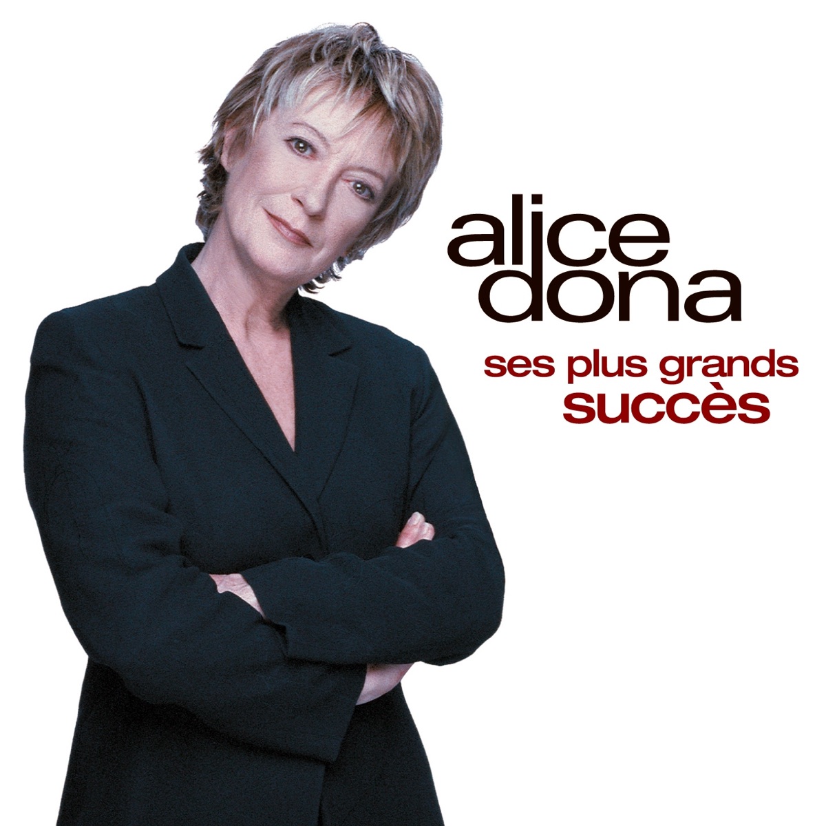 Cover du titre Le chanteur