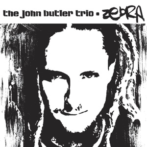 Zebra - Single