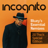 bajar descargar mp3 Don't Turn My Love Away (Venom and Bluey Street Soul Mix - Radio Edit) - Incognito