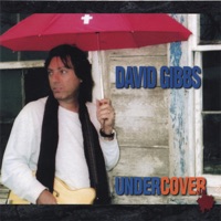 Undercover - David Gibbs