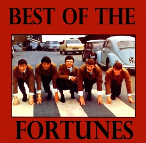 Best of the Fortunes