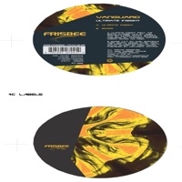 Ultimate Insight - Single - Vanguard