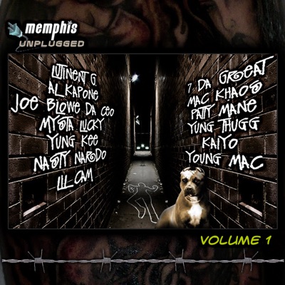 Memphis Unplugged Volume 1