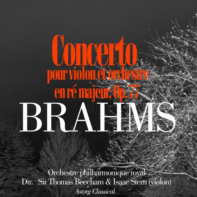 Violin concerto, Op. 77 - II. Adagio