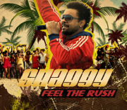 Feel the Rush (Radio Edit) - Shaggy