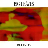 Dydd Ar ol Dydd — Big Leaves