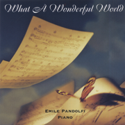 What a Wonderful World - Emile Pandolfi