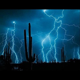 Before the Rain Aggrozilla