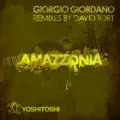 Amazzonia (David Tort Remix)