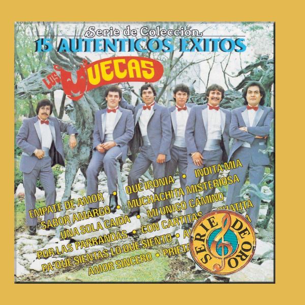 Serie de Coleccion 15 Autenticos Exitos artwork