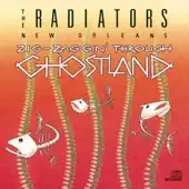 Listen to Zig-Zaggin' Through Ghostland by The Radiators