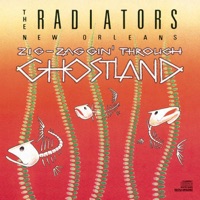 The Radiators - Zigzagging Through Ghostland