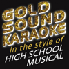 Can I Have This Dance ? (Full Vocal Version) [In the Style of High School Musical 3] - Goldsound Karaoke