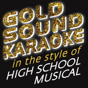 Fabulous (Karaoke Version) [In the Style of High School Musical 2] - Goldsound Karaoke