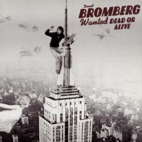 Wanted Dead or Alive - David Bromberg