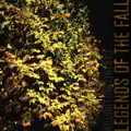 Legends of the Fall