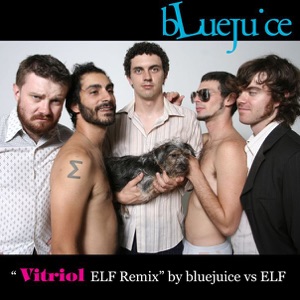 Vitriol (E.L.F Remix) - Single