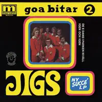 Mulliga Gulliga Ann — Jigs