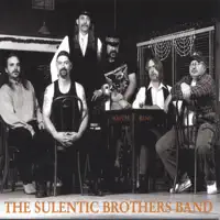 Rolling The Dice — The Sulentic Brothers Band