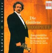 Virtuosi Saxoniae, Hans-Dieter Löchner & Egbert Esterl - Trumpet Concerto In e Flat Major, Hob.VIIe:1: III. Allegro