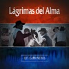 Lágrimas del Alma