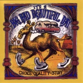 It's a Beautiful Day - No World For Glad