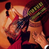 Flamenco Passion & Soul artwork