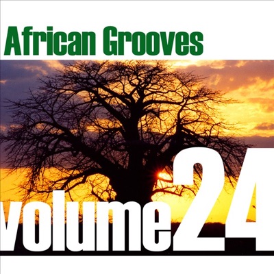 African Grooves, Vol. 24