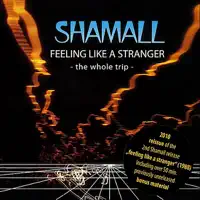 Feeling Like a Stranger (Original)