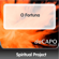 O Fortuna - Spiritual Project
