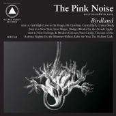 The Pink Noise - Crystal Ball, Crystal Skull