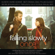 Falling Slowly - Glen Hansard & Markéta Irglová