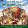 Musikantenpolka