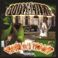 Before It's Too Late - Godfather