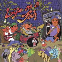 Life As a Fish - Safety Orange