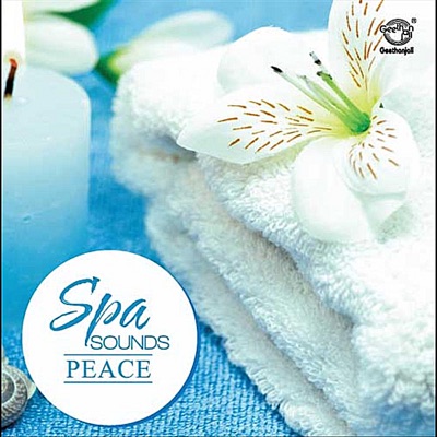 Sivaramakrishna Rao.B.V - Peace In Passion 2