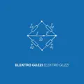 Black Egg (Elektro Guzzi)