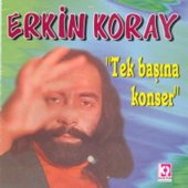 Tek Basina Konser